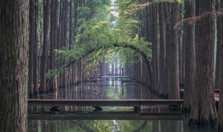 泰州十大最好玩的地方，泰州旅游景點(diǎn)攻略