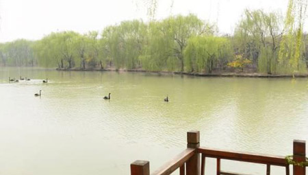 阜陽(yáng)十大好玩的地方，阜陽(yáng)有什么好玩的地方景點(diǎn)